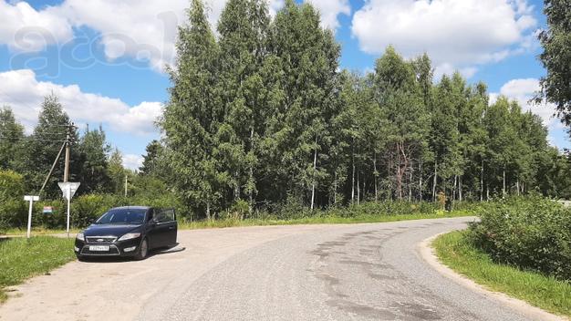 Участок 30 соток в уютной березовой роще под Псковом в СНТ Ветеран