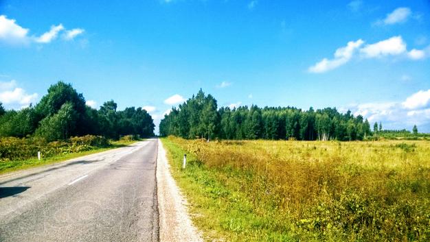 Земля 10 гектар, срочно! Есть выбор земли в Псковской области.