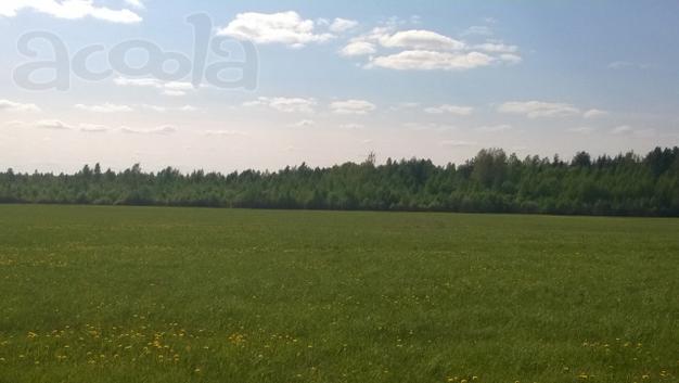 Отличный участок 3,5 гектара под частную индивидуальную застройку.