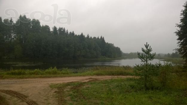 Участок 80 соток с газом у реки в красивом. живописном месте.